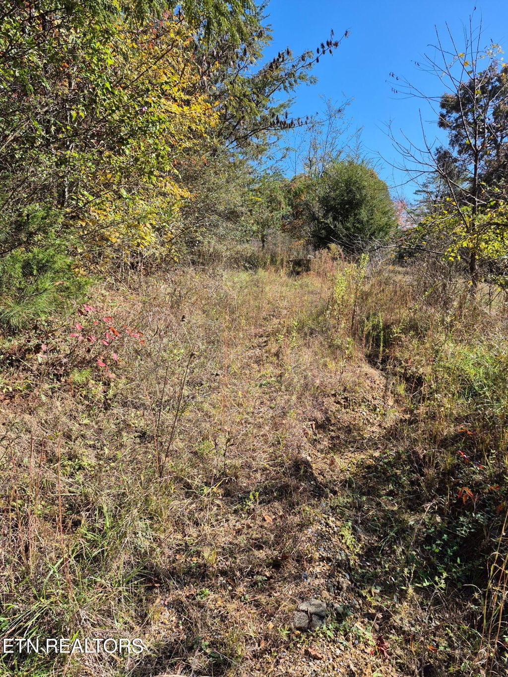 Photo of 129 County Road 299, Sweetwater, TN 37874 (MLS # 1321487)