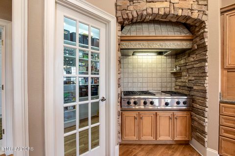 Tiny photo for 200 Eagle Circle, Vonore, TN 37885 (MLS # 1333508)