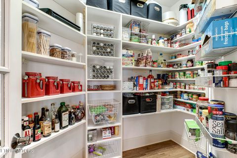 Tiny photo for 200 Eagle Circle, Vonore, TN 37885 (MLS # 1333508)