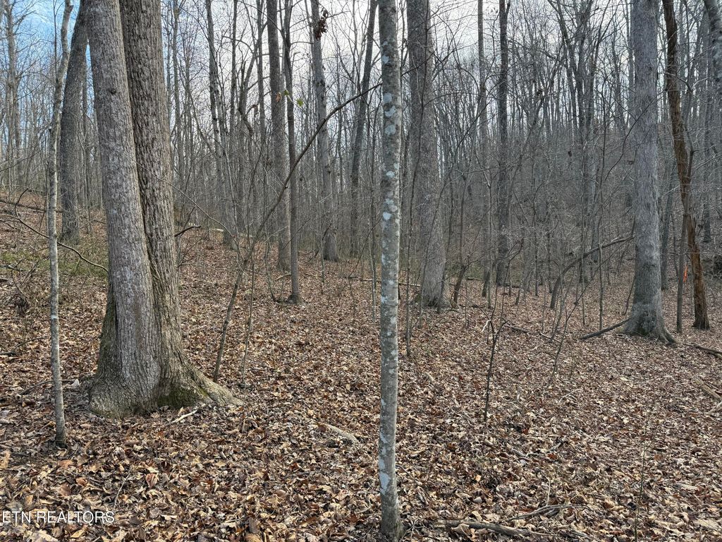 Photo of Cumberland Lakes Drive #201, Monterey, TN 38574 (MLS # 1333997)