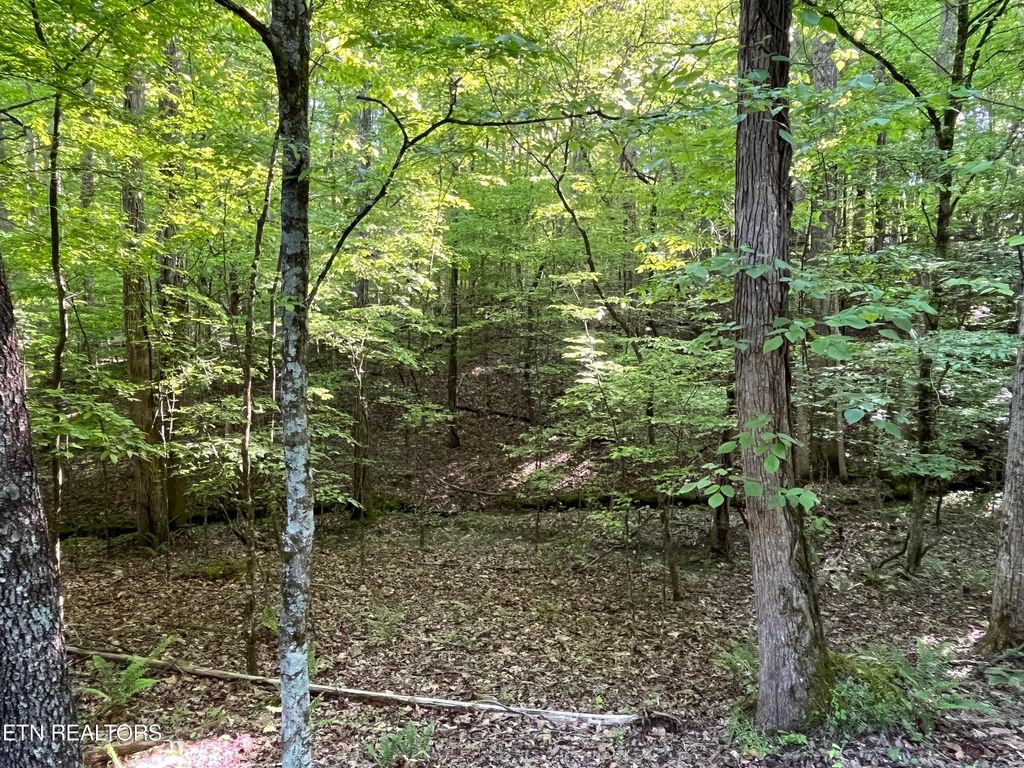 Photo of 328329 Omega Drive, Spring City, TN 37381 (MLS # 1261387)