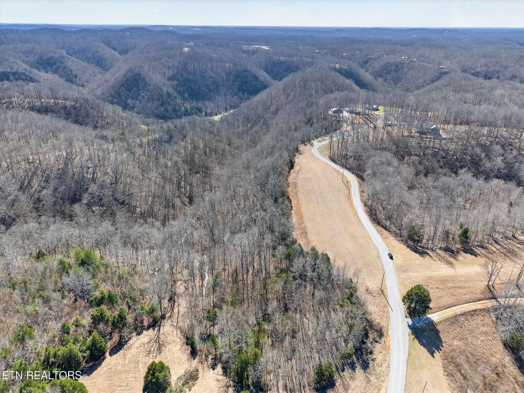 Photo of 7 Terrapin Ridge Rd, Hilham, TN 38568 (MLS # 1331430)