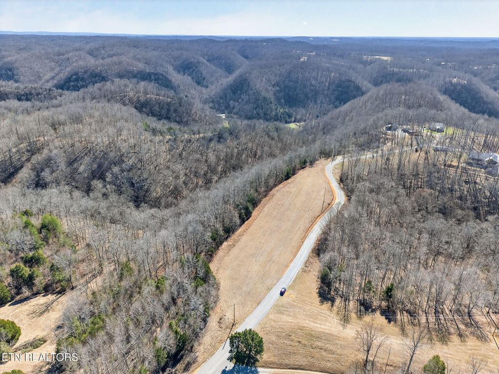Photo of 7 Terrapin Ridge Rd, Hilham, TN 38568 (MLS # 1331430)