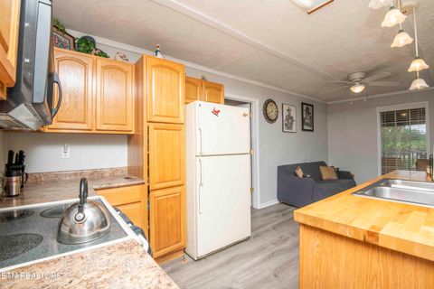 Tiny photo for 11981 S Hwy 127, Crossville, TN 38572 (MLS # 1327746)