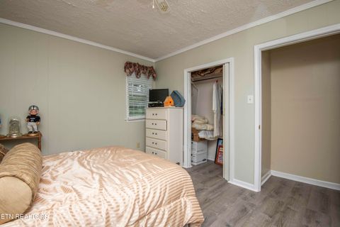 Tiny photo for 11981 S Hwy 127, Crossville, TN 38572 (MLS # 1327746)