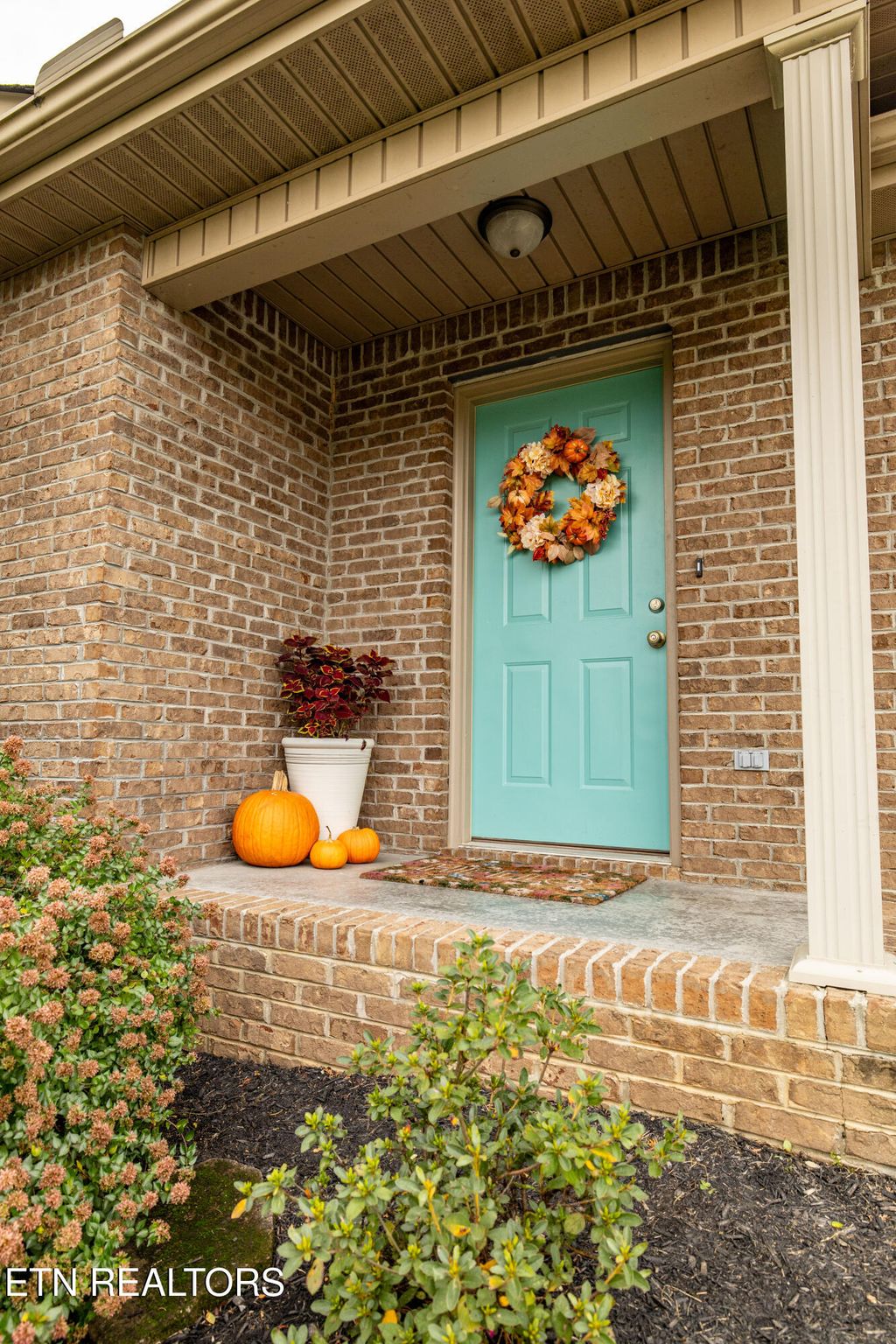 Photo of 5340 Golden Eagle Lane, Corryton, TN 37721 (MLS # 1286077)