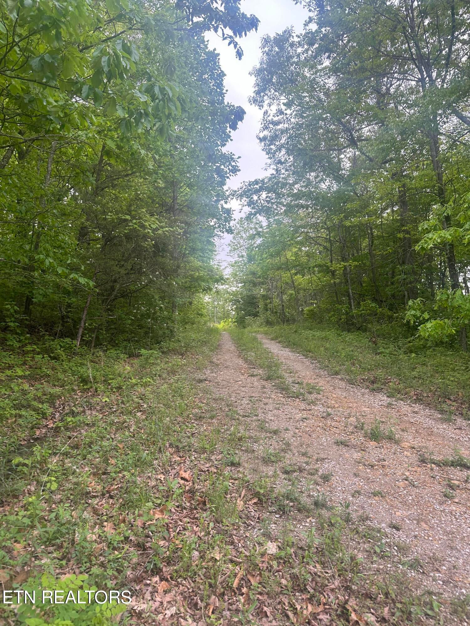 Applewood Drive