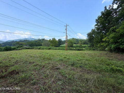 Tiny photo for 253 S Highway 107, Del Rio, TN 37727 (MLS # 1350110)