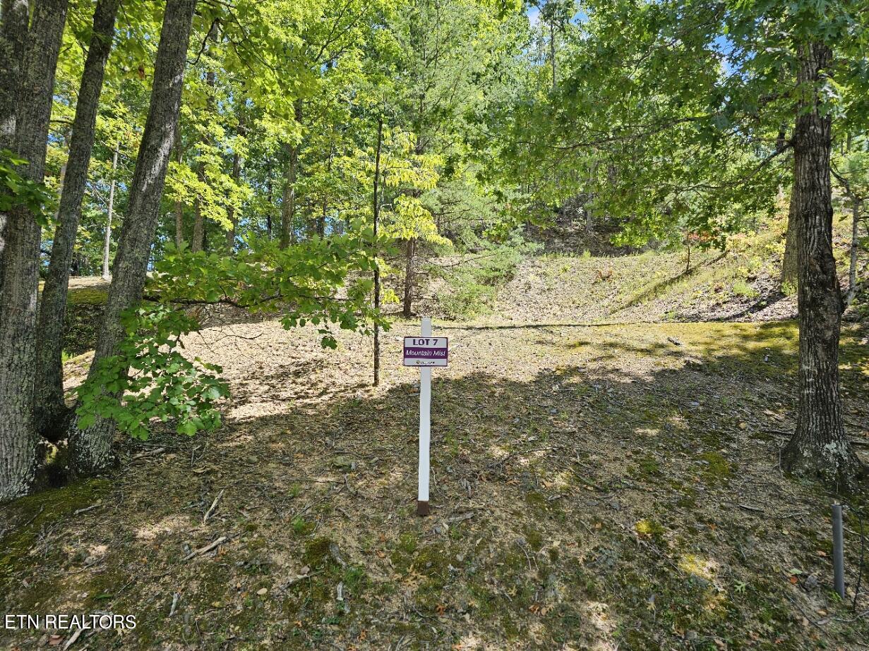 Lot 7-AR Village Circle