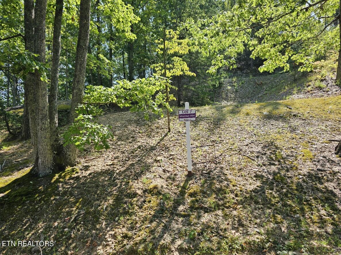 Lot 7-AR Village Circle