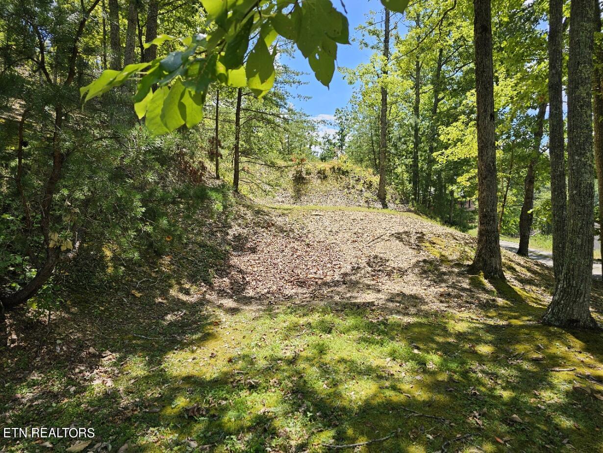 Lot 7-AR Village Circle