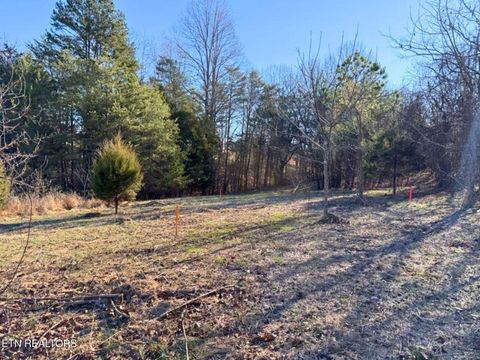 Photo of 280 Walelu Tr, Vonore, TN 37885 (MLS # 1326427)