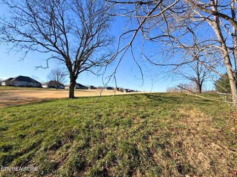 Tiny photo for 280 Walelu Tr, Vonore, TN 37885 (MLS # 1326427)