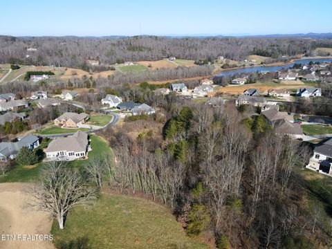 Tiny photo for 280 Walelu Tr, Vonore, TN 37885 (MLS # 1326427)