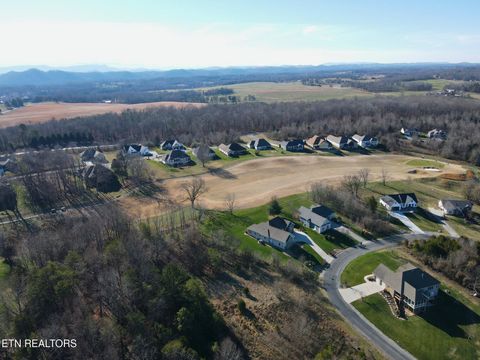 Tiny photo for 280 Walelu Tr, Vonore, TN 37885 (MLS # 1326427)