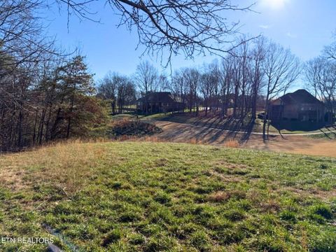 Tiny photo for 280 Walelu Tr, Vonore, TN 37885 (MLS # 1326427)
