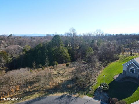 Tiny photo for 280 Walelu Tr, Vonore, TN 37885 (MLS # 1326427)
