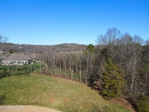 Tiny photo for 280 Walelu Tr, Vonore, TN 37885 (MLS # 1326427)