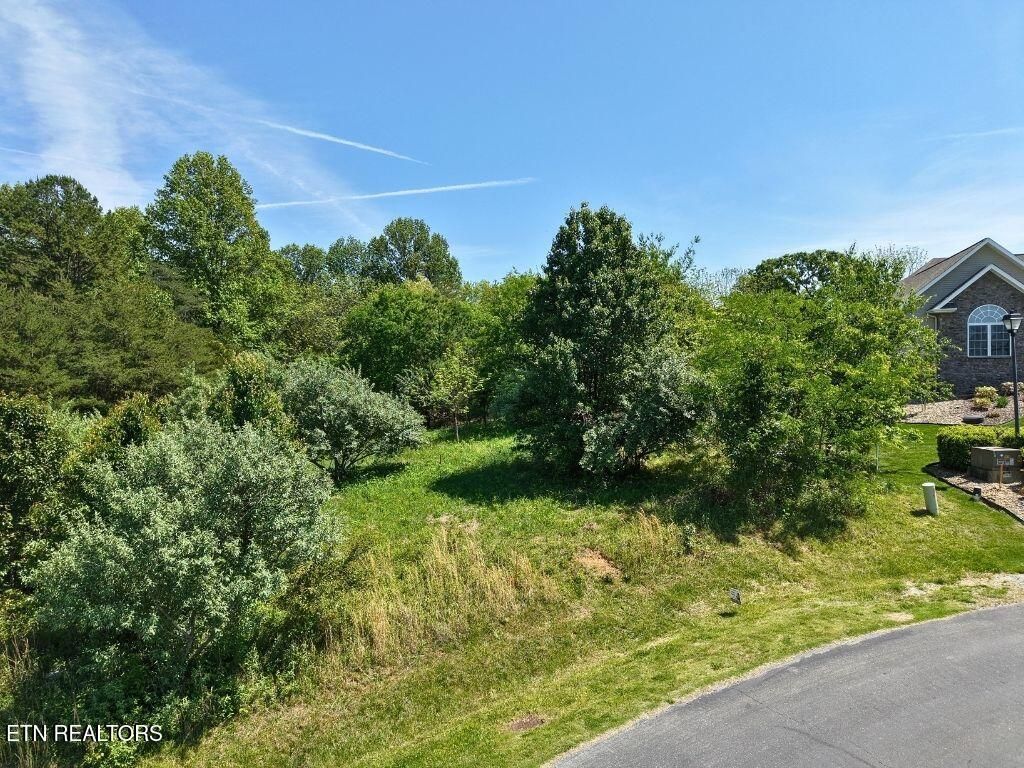 Photo of 280 Walelu Tr, Vonore, TN 37885 (MLS # 1326427)