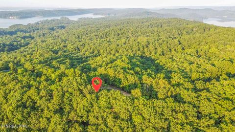 Tiny photo for 140 Mary Brown Lane, Rockwood, TN 37854 (MLS # 1328325)