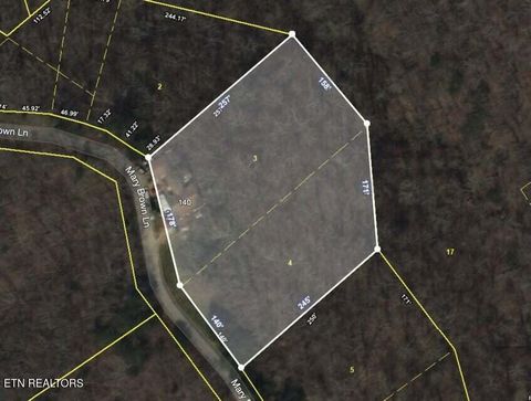 Tiny photo for 140 Mary Brown Lane, Rockwood, TN 37854 (MLS # 1328325)