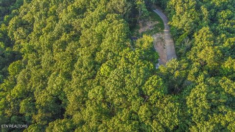 Tiny photo for 140 Mary Brown Lane, Rockwood, TN 37854 (MLS # 1328325)