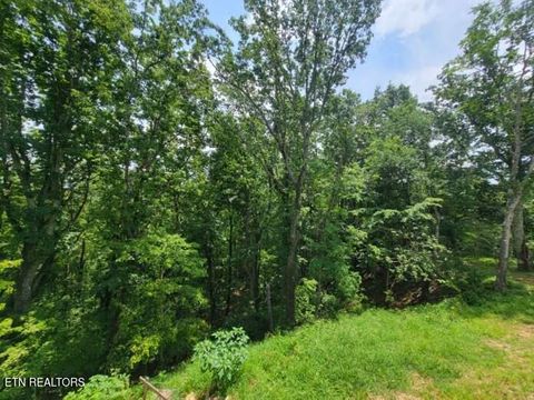 Tiny photo for 140 Mary Brown Lane, Rockwood, TN 37854 (MLS # 1328325)