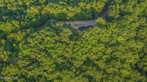 Tiny photo for 140 Mary Brown Lane, Rockwood, TN 37854 (MLS # 1328325)