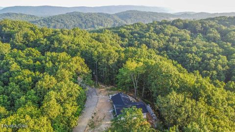 Tiny photo for 140 Mary Brown Lane, Rockwood, TN 37854 (MLS # 1328325)