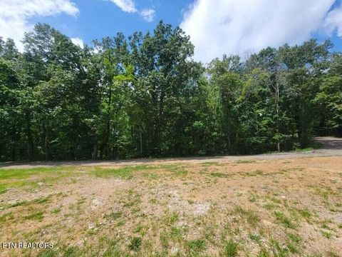 Tiny photo for 140 Mary Brown Lane, Rockwood, TN 37854 (MLS # 1328325)