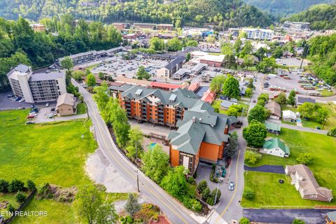 Photo of 214 Woliss Lane #101, Gatlinburg, TN 37738 (MLS # 1318901)