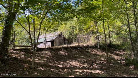 Tiny photo for 293 Cooper Hollow Rd, Tellico Plains, TN 37385 (MLS # 1317681)