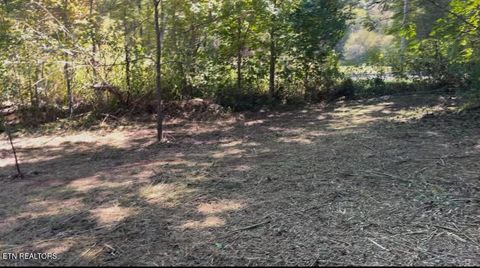 Tiny photo for 293 Cooper Hollow Rd, Tellico Plains, TN 37385 (MLS # 1317681)