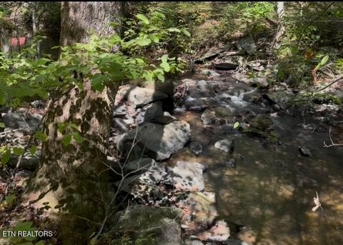 Tiny photo for 293 Cooper Hollow Rd, Tellico Plains, TN 37385 (MLS # 1317681)