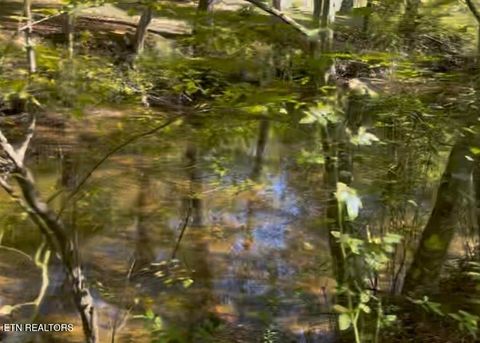 Tiny photo for 293 Cooper Hollow Rd, Tellico Plains, TN 37385 (MLS # 1317681)