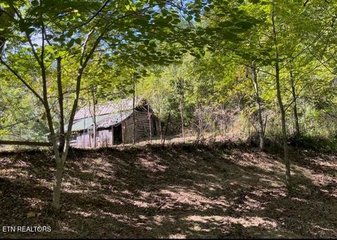 Photo of 293 Cooper Hollow Rd, Tellico Plains, TN 37385 (MLS # 1317681)