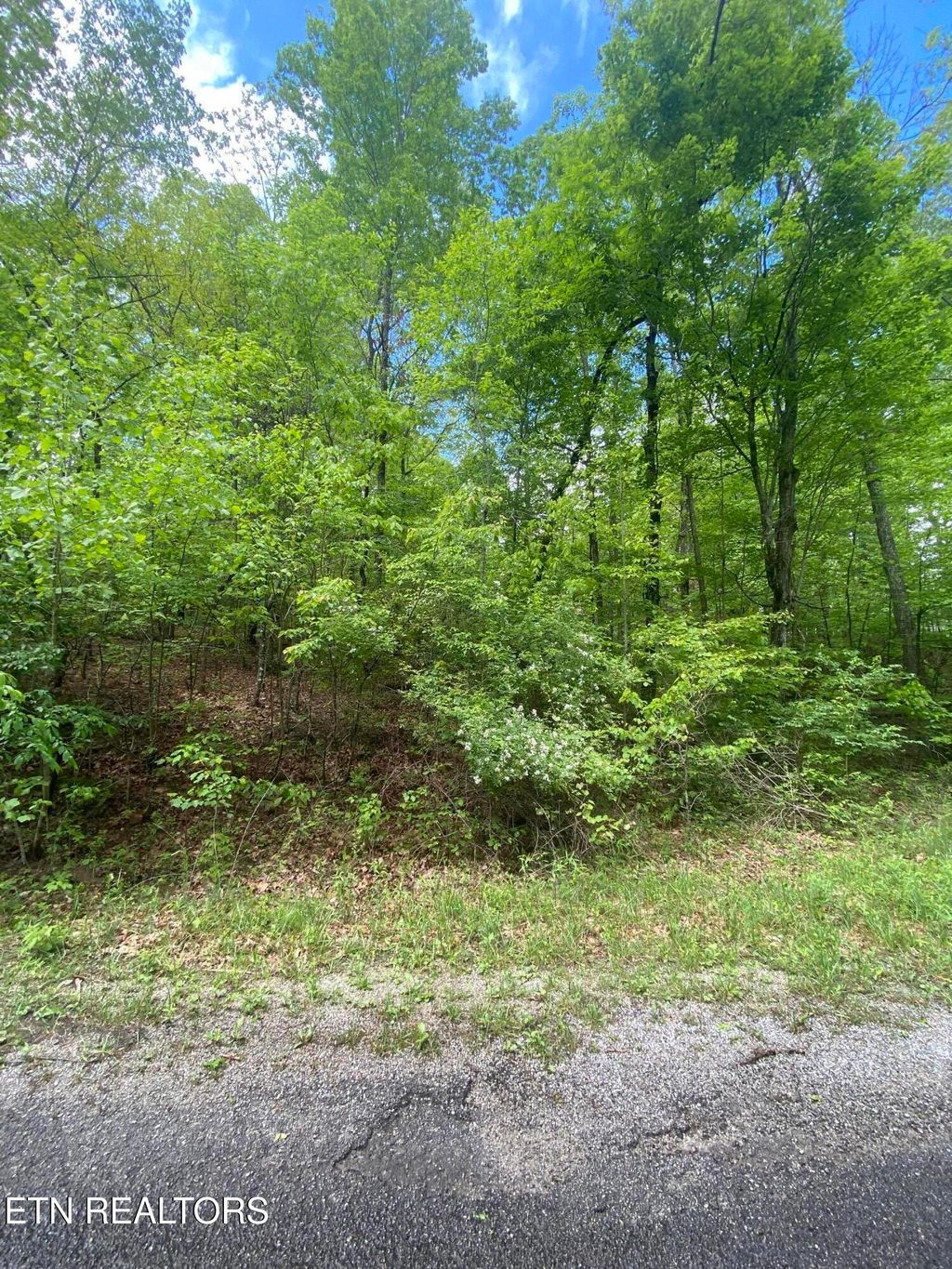 Photo of 610 Catawba Lane, Crossville, TN 38572 (MLS # 1343479)