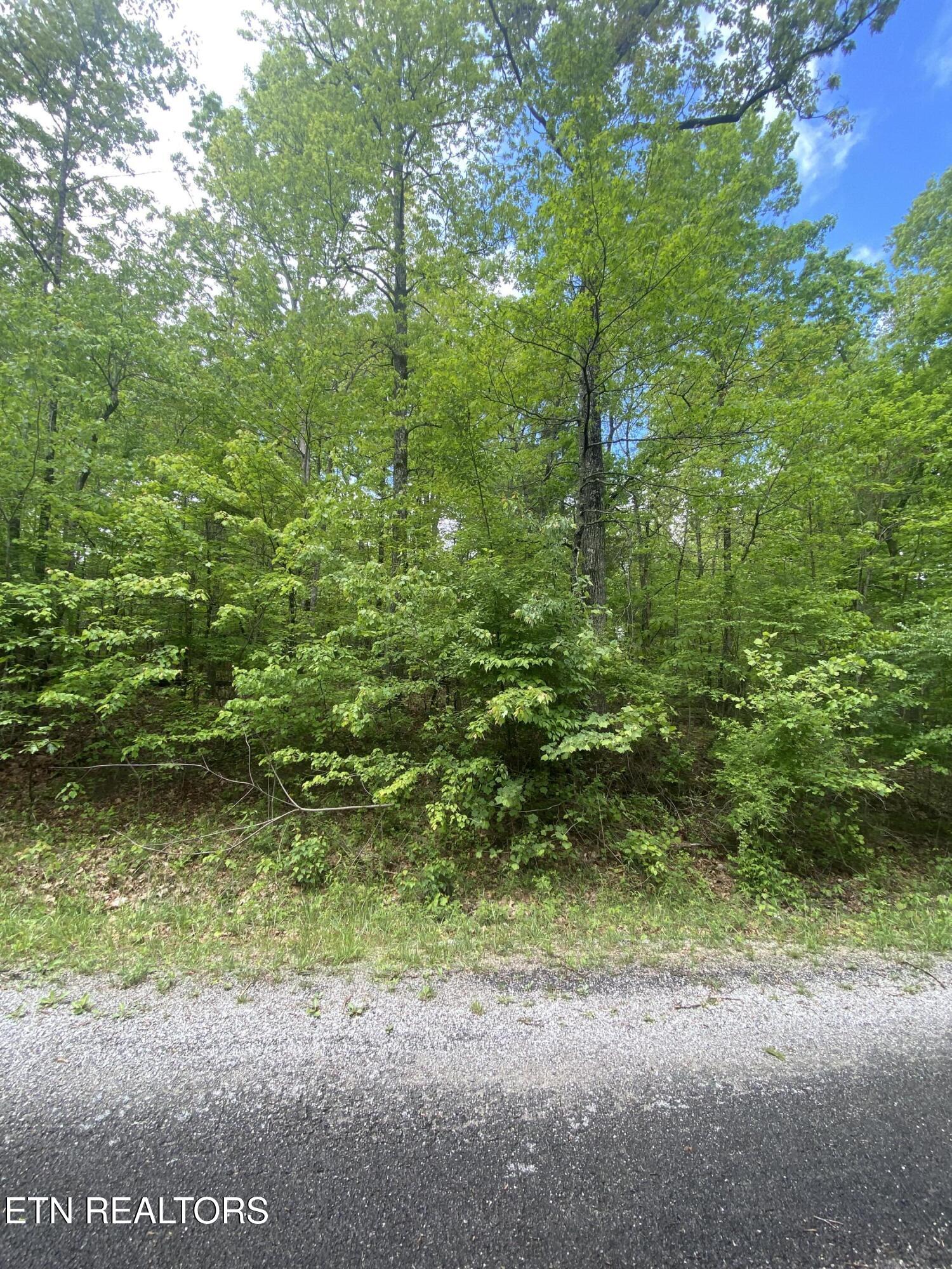 (Upload-from-mobile-1747081516)IMG_5255