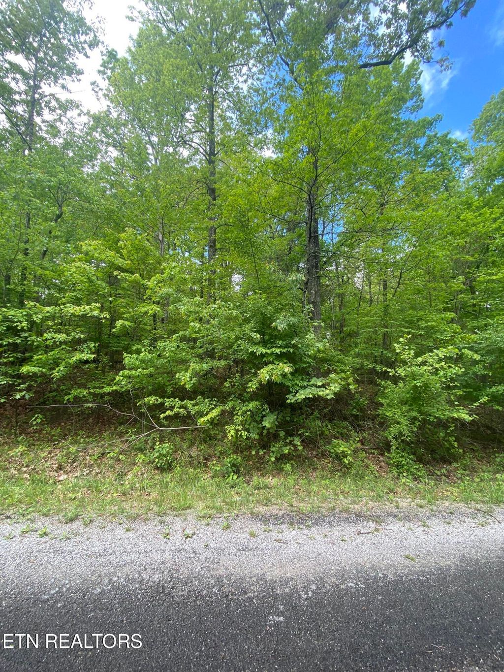 Photo of 610 Catawba Lane, Crossville, TN 38572 (MLS # 1343479)