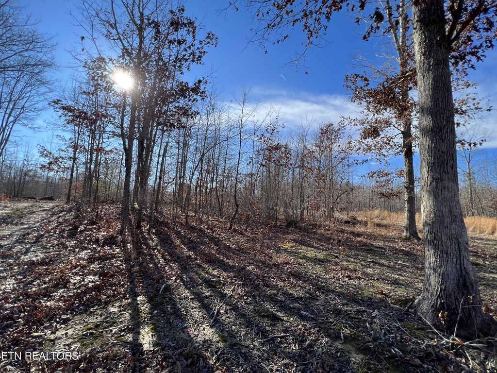 Photo of Lot J McCartt Ridge Lane, Sunbright, TN 37872 (MLS # 1250774)