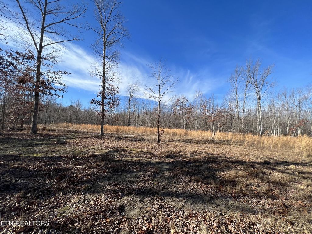 Photo of Lot J McCartt Ridge Lane, Sunbright, TN 37872 (MLS # 1250774)
