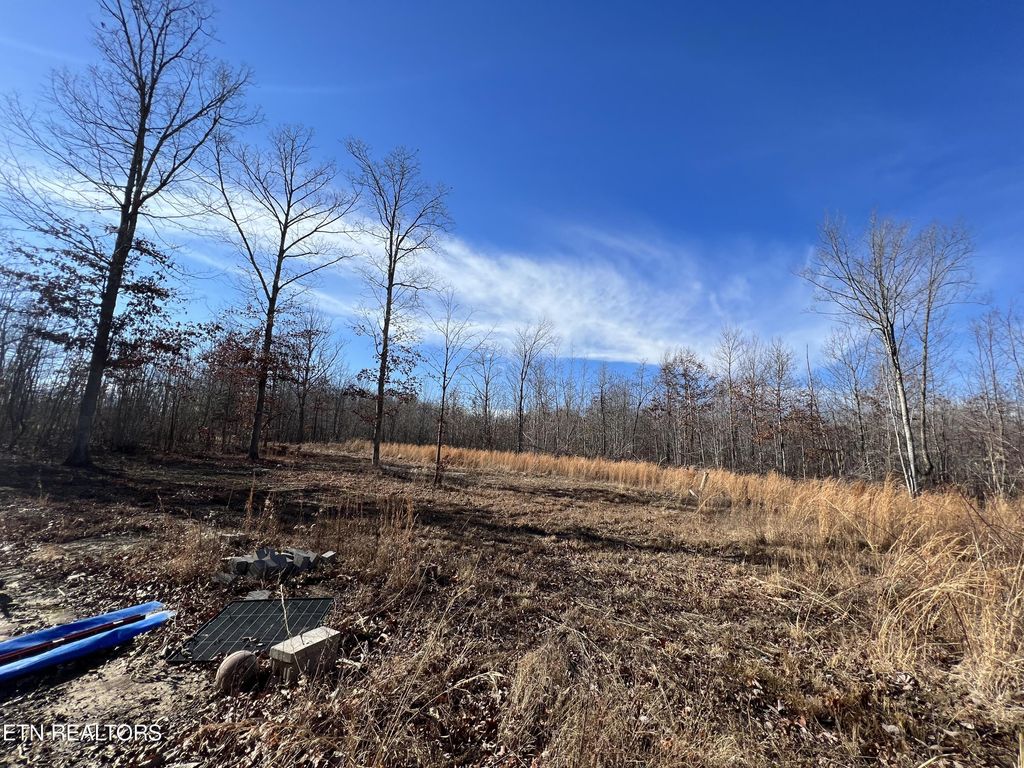 Photo of Lot J McCartt Ridge Lane, Sunbright, TN 37872 (MLS # 1250774)