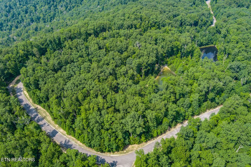 Photo of 119 Westridge Tr, Monterey, TN 38574 (MLS # 1329179)