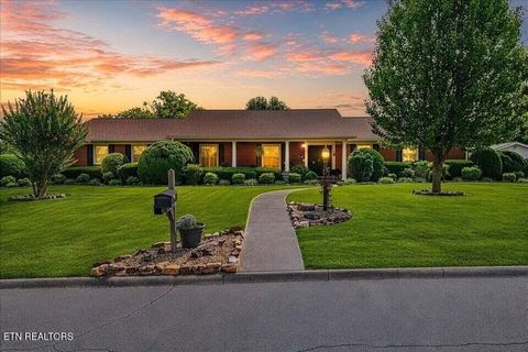 Photo of 1101 Brentwood Drive, Etowah, TN 37331 (MLS # 1347101)