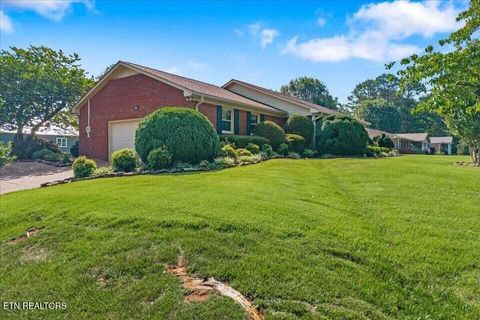 Tiny photo for 1101 Brentwood Drive, Etowah, TN 37331 (MLS # 1347101)