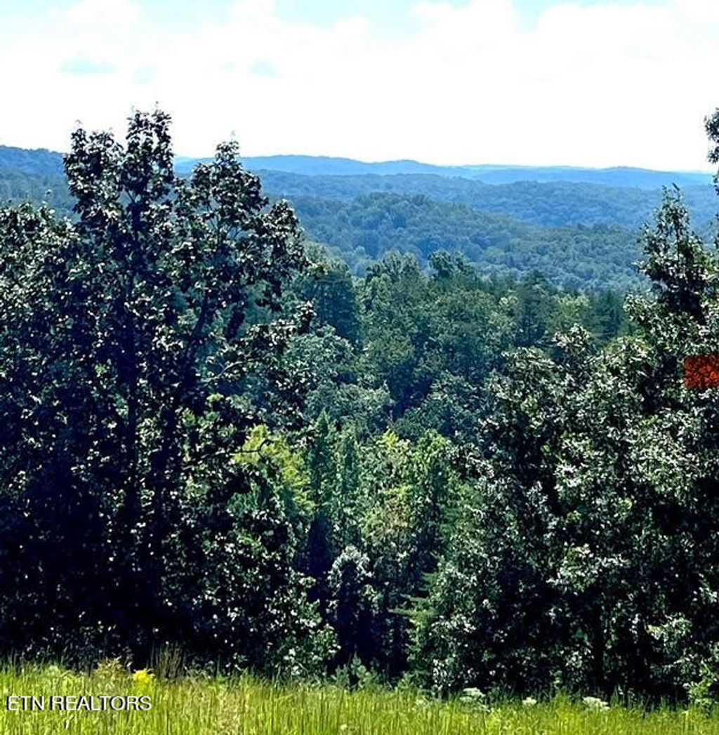 Photo of 122 Highland Reserve Way, Kingston, TN 37763 (MLS # 1267497)