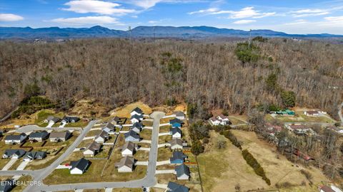Tiny photo for 208 Daniel Morris Point, Clinton, TN 37716 (MLS # 1329885)