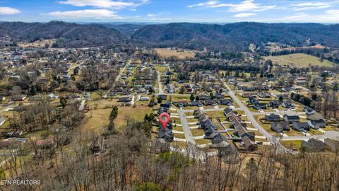 Tiny photo for 208 Daniel Morris Point, Clinton, TN 37716 (MLS # 1329885)