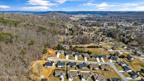 Tiny photo for 208 Daniel Morris Point, Clinton, TN 37716 (MLS # 1329885)