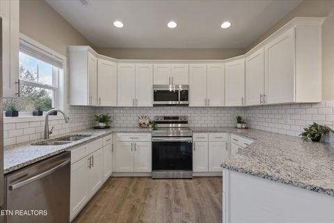 Tiny photo for 208 Daniel Morris Point, Clinton, TN 37716 (MLS # 1329885)